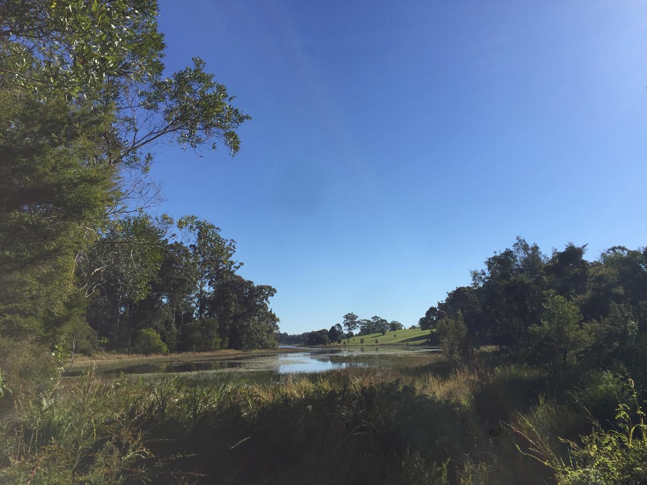 Lake MacDonald Gumboil Road Trail to the Lake Adventure Sunshine Coast